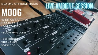 Moog Werkstatt-01 Live Ambient Session + Effects Pedals