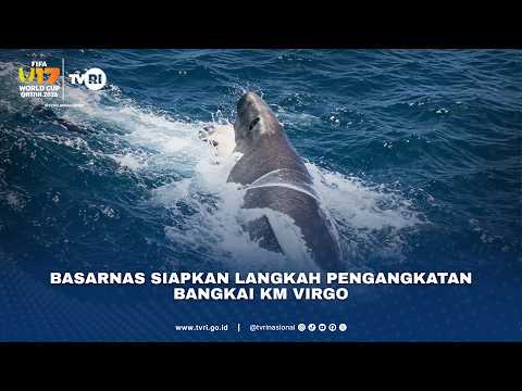 Basarnas Siapkan Langkah Pengangkatan Bangkai KM Virgo