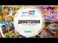 Сеть детских игровых клубов Динотопия г.Пермь