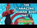 The Amazing Human Body | Treeschool | PART #1 | Educational Kids Videos