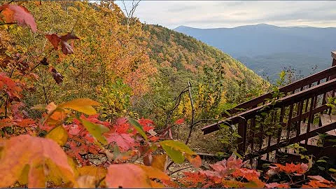 Georgia Forester explains fall colors, drought impact & fire safety