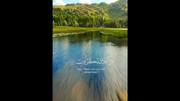 القران الكريم تلاوة خاشعة للشيخ ياسر الدوسري