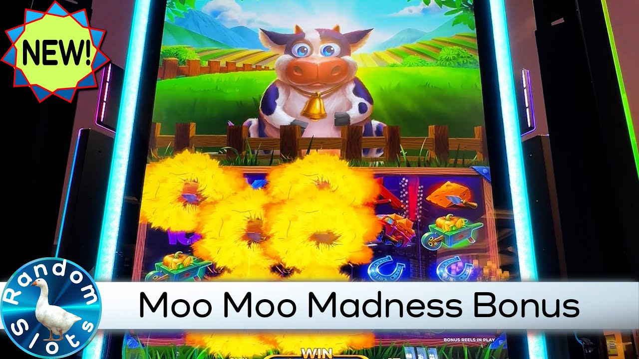 Shambala Casino Play Now for Real Money