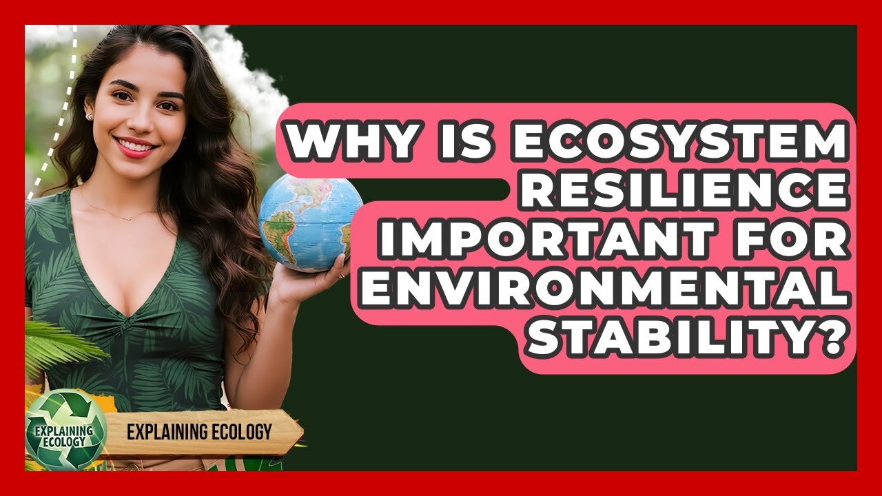 Why Is Ecosystem Resilience Important For Environmental Stability? - Explaining Ecology