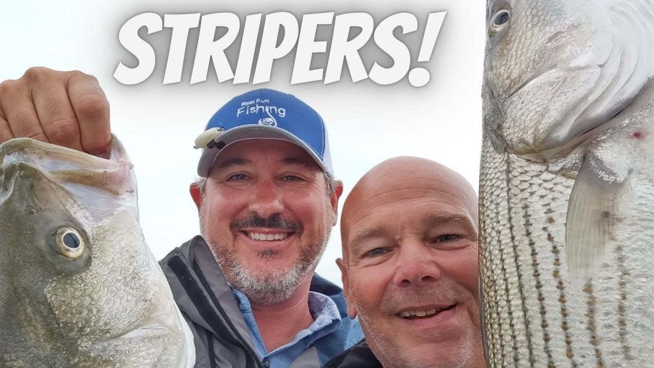 Wilson Lake Stripers Top Water Kansas Fishing