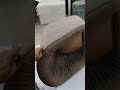 SOFA MAKING FECTORY 🫡#shorts #shorts #woodwork #furniture