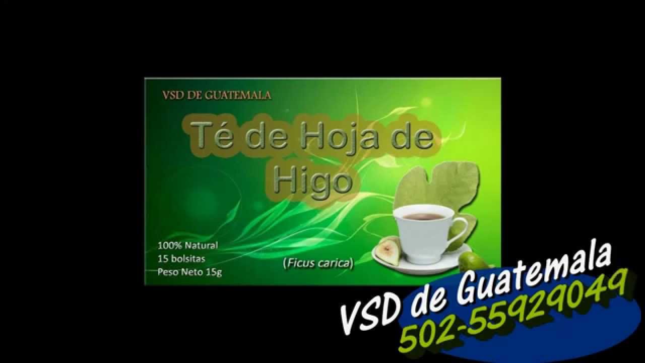 Te De Hoja De Higo - YouTube Te De Hoja De Higo - YouTube