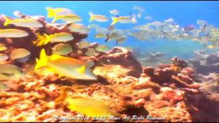 It's Raining - Tranquility - Volume (1) 16