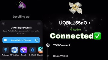 Blum Airdrop Update: How to Connect your Ton wallet ~ Blum x Tonkeeper