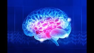 A Simple Technique to Maximize Your Performance