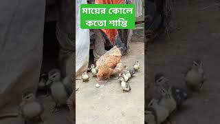 মাতে মক্কা, মা শব্দে হয় মদিনা, মাতে হয় আরবি মহররম মাস,ম তে হয় মোহাম্মদ সল্লাল্লাহু আলাইহি ওয়াসাল্লাম