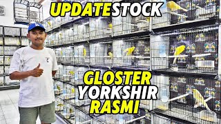 UPDATE STOCK‼️RASMI indah-indah, YORKSHIR dan GLOSTER...