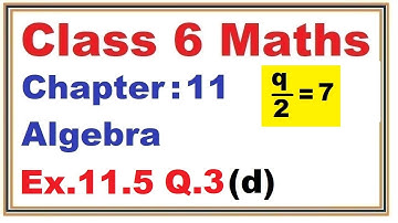 Ex.11.5 (Q.3) {d} Chapter:11 Algebra | Ncert Maths Class 6 | Cbse