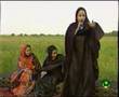 Capture de la vidéo Ouleye Mint Amar Tichitt موريتانيا 10