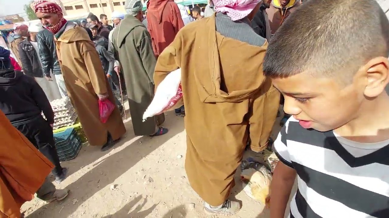 سوق الدجاج🐔 عرب ولوز🦢 وحجل🐓 وحمام وداند 🦃ببلدية مولاي العربي ولاية سعيدة