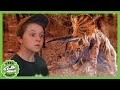 Find the dinosaurs in the forest  science experiment  trex ranch dinosaurs for kids