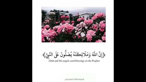 قران كريم بصوت احمد العجمي🌸🕊|حالات واتس أب