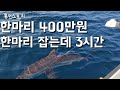 직장 관두고 바다로 귀어해 낚시로 매출 월1000만원 선장님