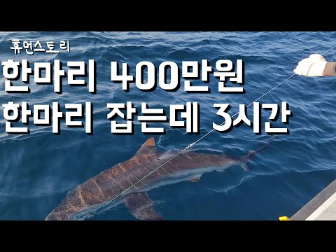 직장 관두고 바다로 귀어해 낚시로 매출 월1000만원 선장님