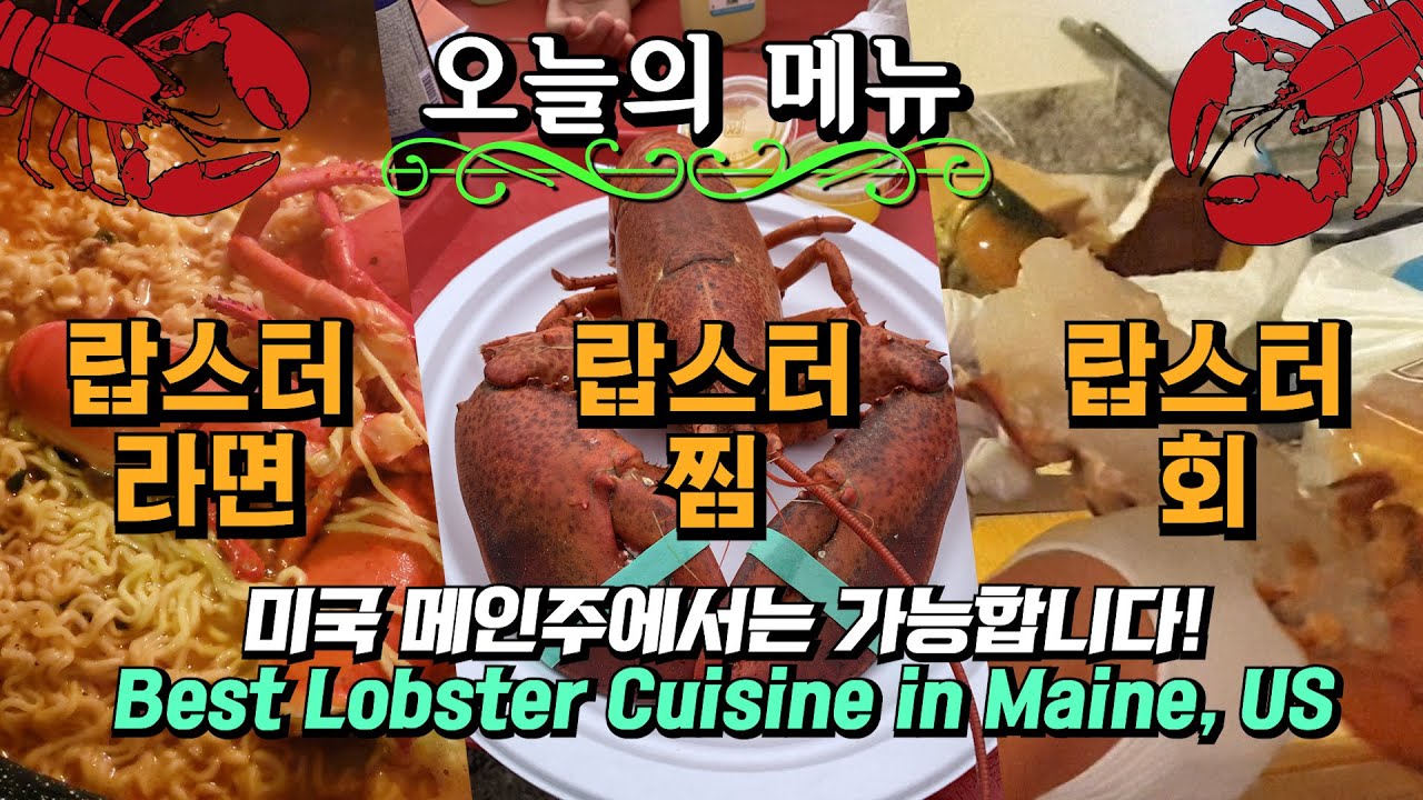 🦞랍스터를 하도 먹어서 고기가 생각나는 미국 메인 주 여행 | 140불로 과연 몇 마리를 살 수 있을까요? | Best Lobster Cuisine in Maine, US🦞