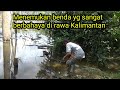 Menemukan benda yg sangat berbahaya di rawa Kalimantan