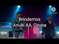 Anuel AA, Ozuna - Brindemos (Letra/Lyrics)