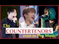 Do COUNTERTENORS exist in Pop Music? (Dimash, Mitch, Piet, ...) #countertenor #highnotes #dimash