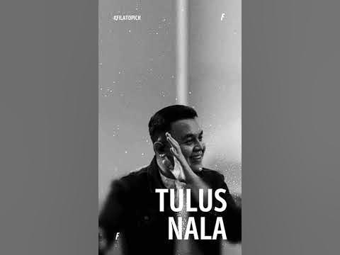 we have a program on instagram #filatopick tulus-