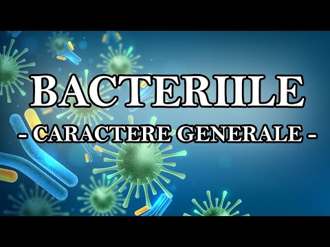 Video: Cum scrii numele bacteriilor?