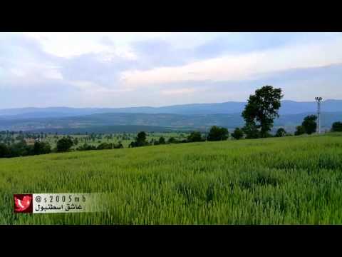 ريف مدينة سامسون في تركيا