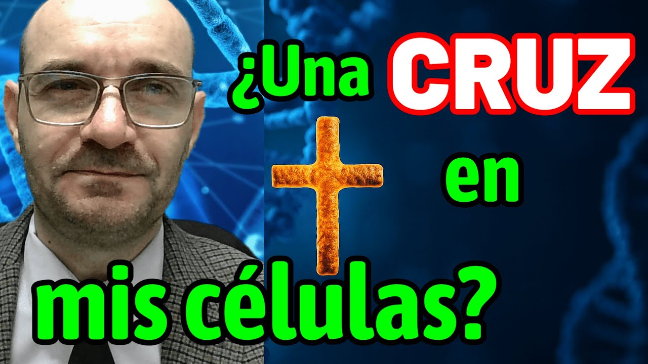 Молекула БОГА: КРЕСТ, который объединяет всё ✝️