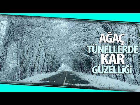 Ağaç Tünellerde Kar ile Gelen Muhteşem Güzellik