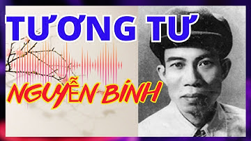 Ra Mắt Bài Thơ Tương Tư-Thi Sĩ Nguyễn Bính|Hé Lộ Tâm Tư Độc Đáo-ThếAnh365