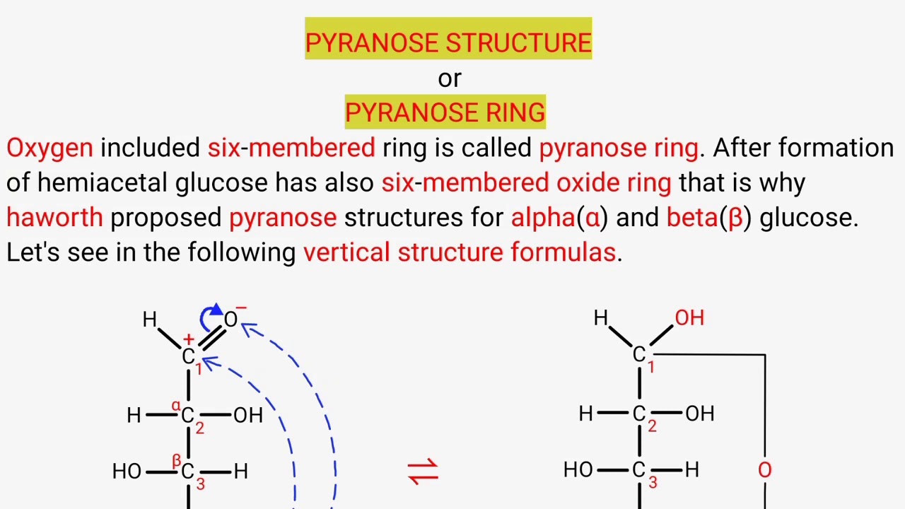 PPT - Chapter 5- The Structure and Function of Macromolecules Carbohydrates  PowerPoint Presentation - ID:2169756