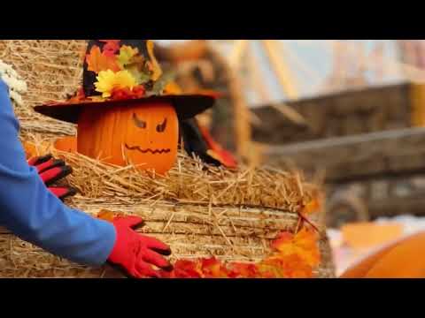 🍂 OTOÑO EN ENERGYLANDIA 2+1 ¡GRATIS! 🍂