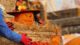 🍂 OTOÑO EN ENERGYLANDIA 2+1 ¡GRATIS! 🍂