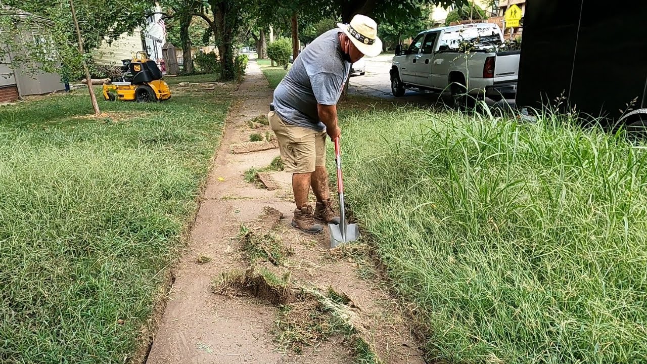 Yard cleaning. Yard ugly. Messy Overgrown Lawn.