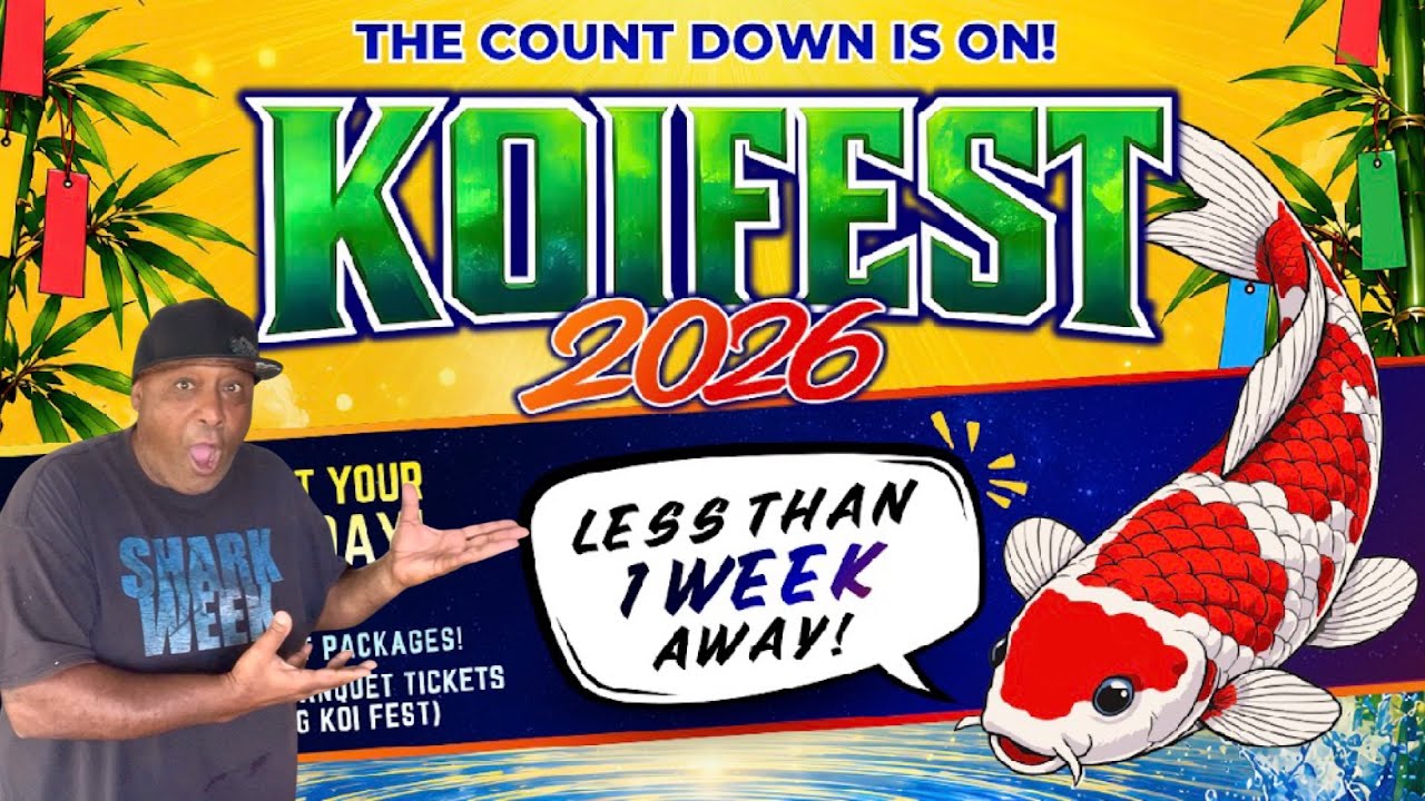 2026 KOI FEST less than a week away!
