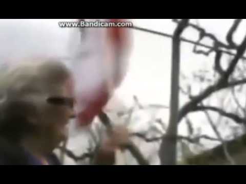 რა დროშა მოგვცა მიშამა