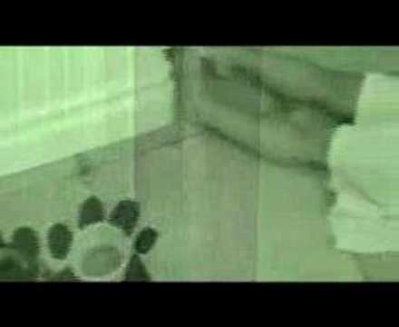 KITASTROPHE-a true tail