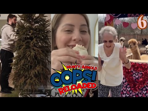 KEINER ist zu SCHADEN gekommen...(Wirklich!) | OOPS! Reloaded