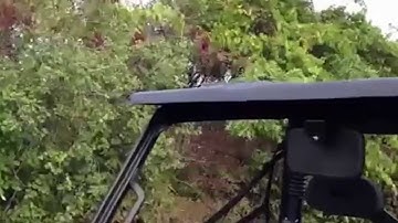 EMP 2013 Polaris Ranger XP900 Top - GearUp2Go.com