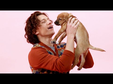 Tom Holland: The Puppy Interview (Part Two)