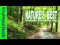 Enlightened soundsnatures best sounds for relaxing