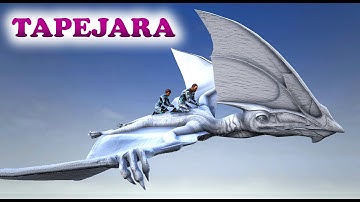 ARK Dev Kit | TAPEJARA | The Mohawk Bird | Animations & Dino Dossier Spotlight