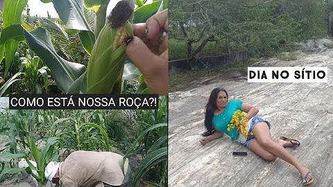 MOSTREI COMO ESTÁ NOSSA ROÇA ❣️