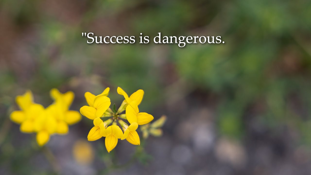 The danger of success - YouTube