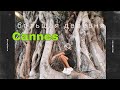 скучно летом в Каннах ? #канны