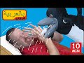 يوم الاجازة أكثر من قصص قصيرة للأطفال من ستيف وماجي 
