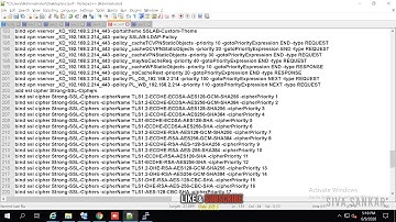Mastering Netscaler ADC Commands, use cli like Pro and Understand Configuration